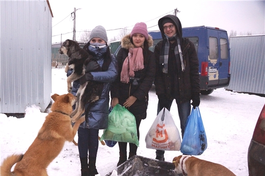 Помощь братьям нашим меньшим