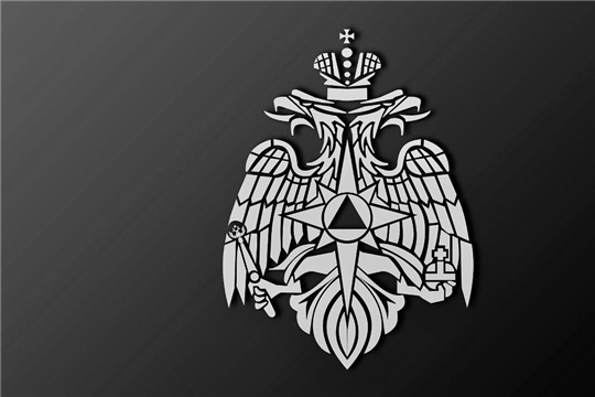 Президент Российской Федерации, главы зарубежных стран, государственные деятели, коллеги и друзья выразили соболезнования в связи с трагической гибелью Министра МЧС России Евгения Зиничева