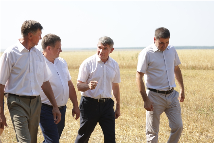 Глава Чувашии ознакомился с ходом уборочных работ в районах республики