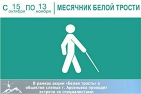 15 октября в спецбиблиотеке имени Л.Н. Толстого будет дан старт акции–месячнику «Белая трость»