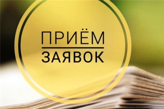 Начинается прием заявок на право получения разрешения на добычу кабана