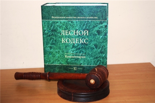30 ноября 2021 года состоится аукцион на право заключения договора купли-продажи лесных насаждений на территории Кирского лесничества в электронной форме