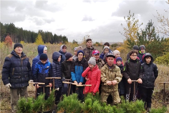Эмир Бедертдинов: «Посадка леса – дело благородное»