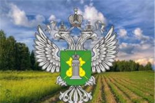 У собственников изъяли почти 3 тысячи га неиспользуемых сельхозземель
