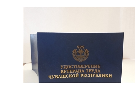 В июле 2021 года ветеранам труда и ветеранам труда Чувашской Республики осуществлена ежемесячная денежная выплата на сумму 155,5 млн рублей