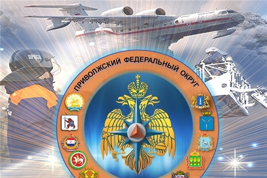О ДЕЯТЕЛЬНОСТИ ТЕРРИТОРИАЛЬНЫХ ОРГАНОВ МЧС РОССИИ СУБЪЕКТОВ РОССИЙСКОЙ ФЕДЕРАЦИИ ПРИВОЛЖСКОГО ФЕДЕРАЛЬНОГО ОКРУГА В 2020 ГОДУ