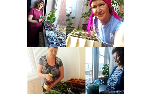 Дома не скучаем, росточки поливаем!