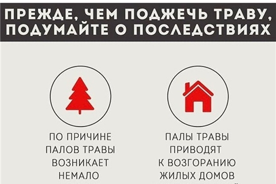 Правила по сжиганию сухой травы и мусора