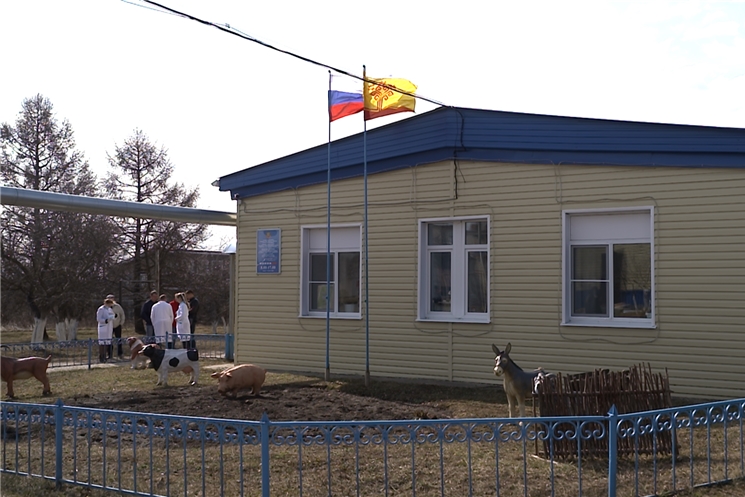 В Чебоксарском районе появится пункт передержки бродячих животных.