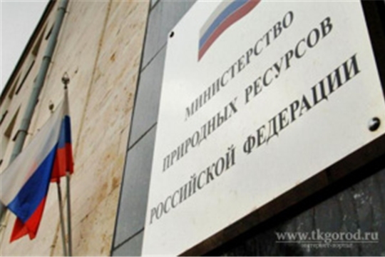 Минприроды России утвердило Порядок представления декларации о плате за негативное воздействие на окружающую среду