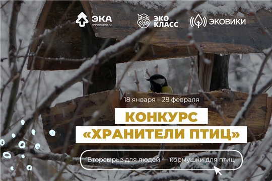 Вторсырье спасет зимующих птиц: стартовал конкурс по изготовлению экокормушек