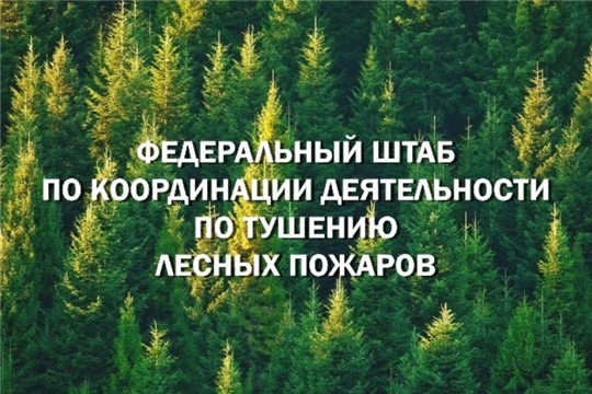 Федштаб Рослесхоза: самовольные выжигания сухой растительности недопустимы