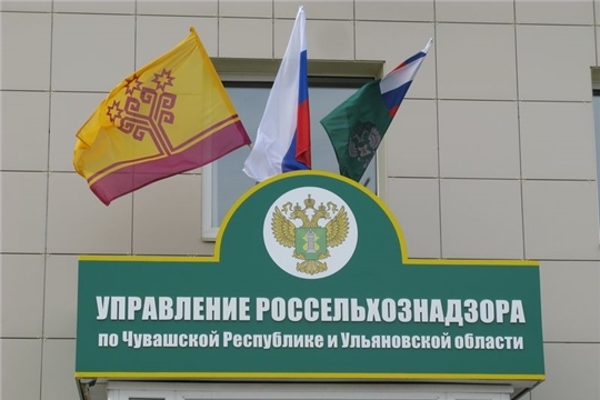 Специалистами Управления Россельхознадзора в 2020 году пресечено 689 правонарушений