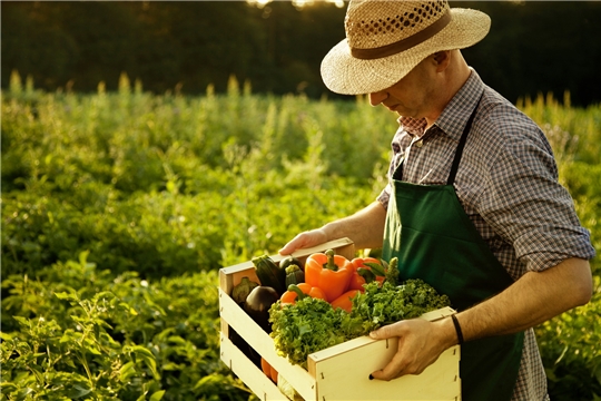 Фермеры получат право продавать продукцию там, где она была произведена  