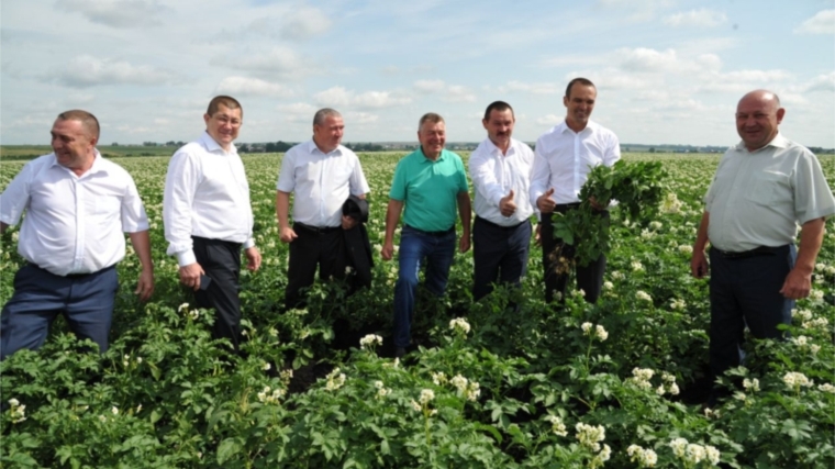 В селе Батырево Михаил Игнатьев посетил поля агрофирмы «Корма»