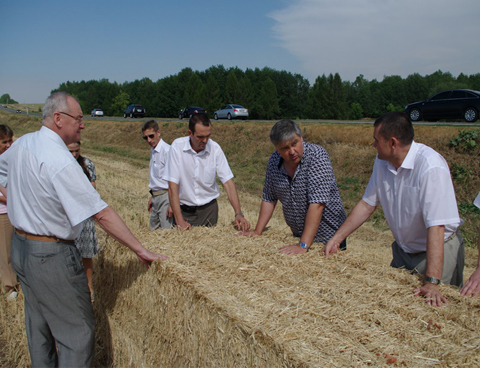 Птицеводство - проблемы и перспективы.