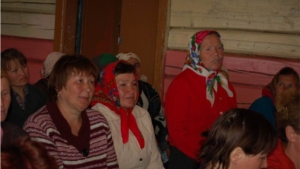 Единый информационный день с участием  заместителя министра здравоохранения Чувашии Ирины Ефимовой  