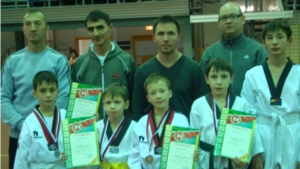 Открытый турнир г.Елабуга по олимпийскому тхэквондо 