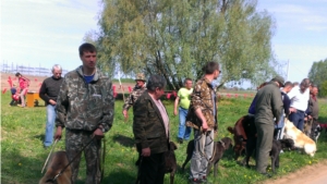  37-я городская выставка собак охотничьих пород