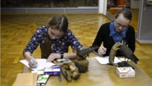 X республиканская лесная олимпиада