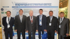 Руководитель Госветслужбы Чувашии С.Скворцов принял участие в V Международном ветеринарном конгрессе