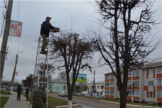 В Красноармейском районе приступили к мероприятиям по уходу за деревьями