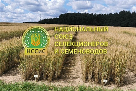 Минсельхоз России и Национальный союз селекционеров и семеноводов заключил соглашение о сотрудничестве