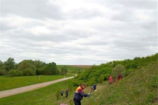 Жители Моргаушского района активно приняли участие во Всероссийской акции «Живи, лес!»