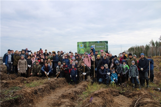 Более 150 человек приняли участие в акции, инициированной Советом отцов Чувашии, по посадке леса в Заволжье