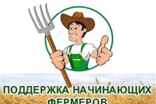 В 2020 году фермерские гранты будут выдавать на новых условиях. Пять главных изменений
