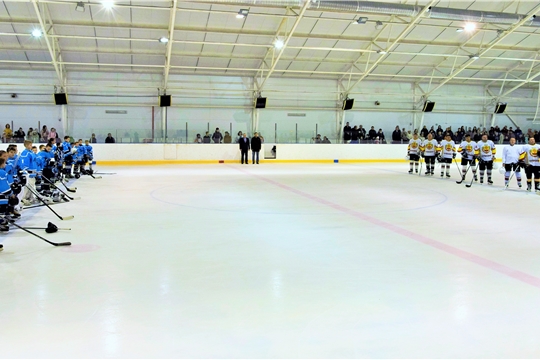  Товарищеская встреча по хоккею