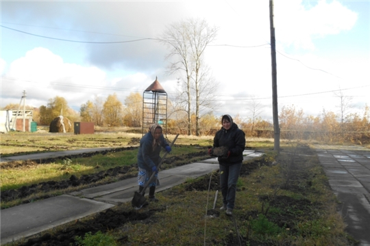 Посадить деревце, благоустроить территорию - дело благородное