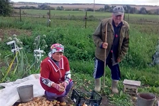 Оперативная помощь на селе