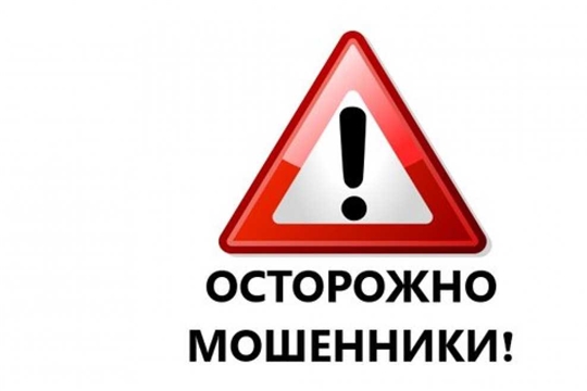 В Алатыре местный житель вместо сотового телефона в посылке получил от мошенников одеколон