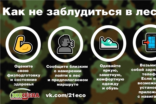 Как не заблудиться в лесу: советы грибникам