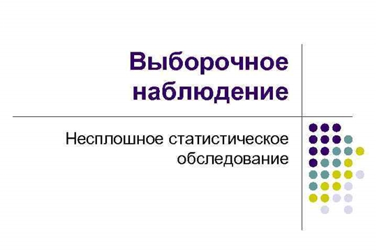 В Алатыре пройдёт выборочное наблюдение использования суточного фонда времени населением