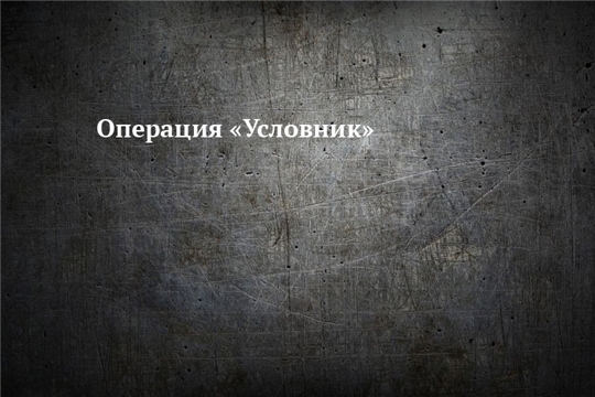 В Алатыре прошла операция "Условник"