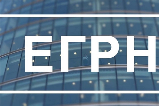 Виды выписок из ЕГРН