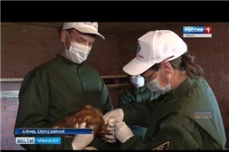 2019.05.22. В Чувашии проходит масштабная профилактическая иммунизация птиц от птичьего гриппа