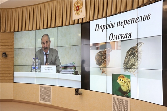 Допущены к использованию новые селекционные достижения в животноводстве
