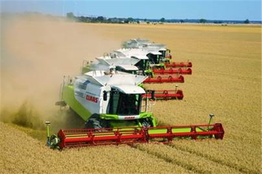 В республике намолочено 19,8 тыс. тонн зерна при урожайности 28,5 ц/га