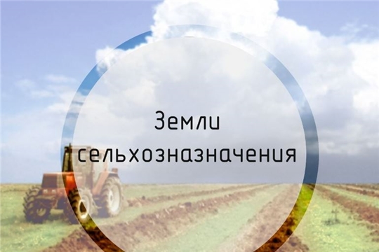 С начала 2019 года рассмотрено 391 извещение о намерении продать земельные участки сельхозназначения