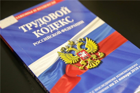 В Госдуме разъяснили, как россияне могут работать удаленно