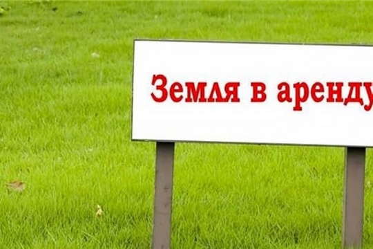 Внимание! Продолжается прием заявок на участие в аукционах на право заключения договоров аренды земельных участков
