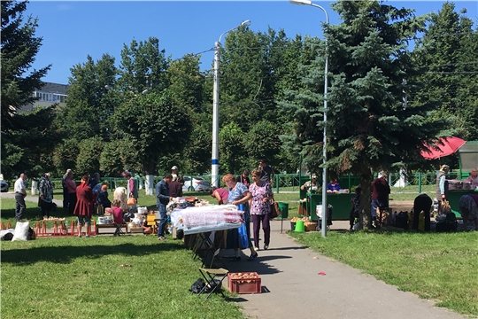 г. Новочебоксарск: пресечены факты нелегальной торговли