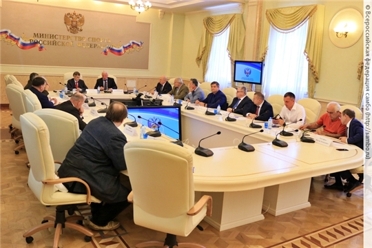 Петр Чекмарев принял участие в заседании Попечительского совета Всероссийской федерации самбо