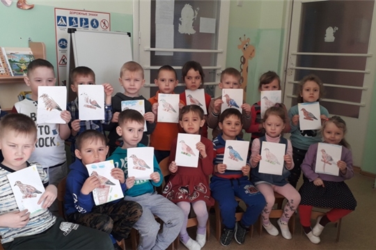 Горлица обыкновенная - птица 2019 года