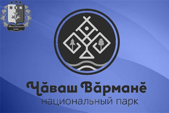 Фестиваль грибов – 2019