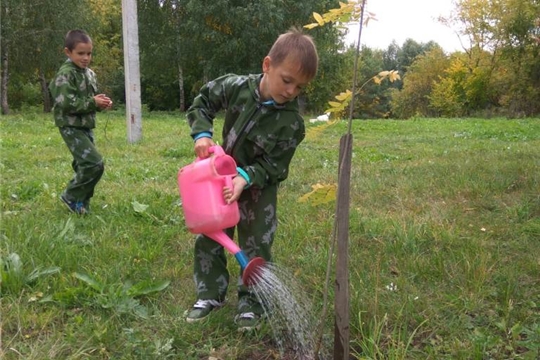 «Педагоги-ветераны – всегда вместе с нами»