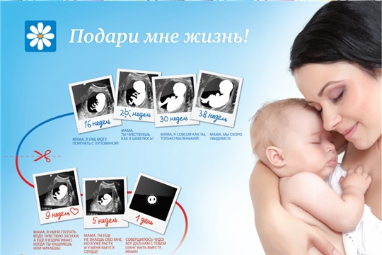 Акция «Подари мне жизнь!» пройдет в Яльчикском районе